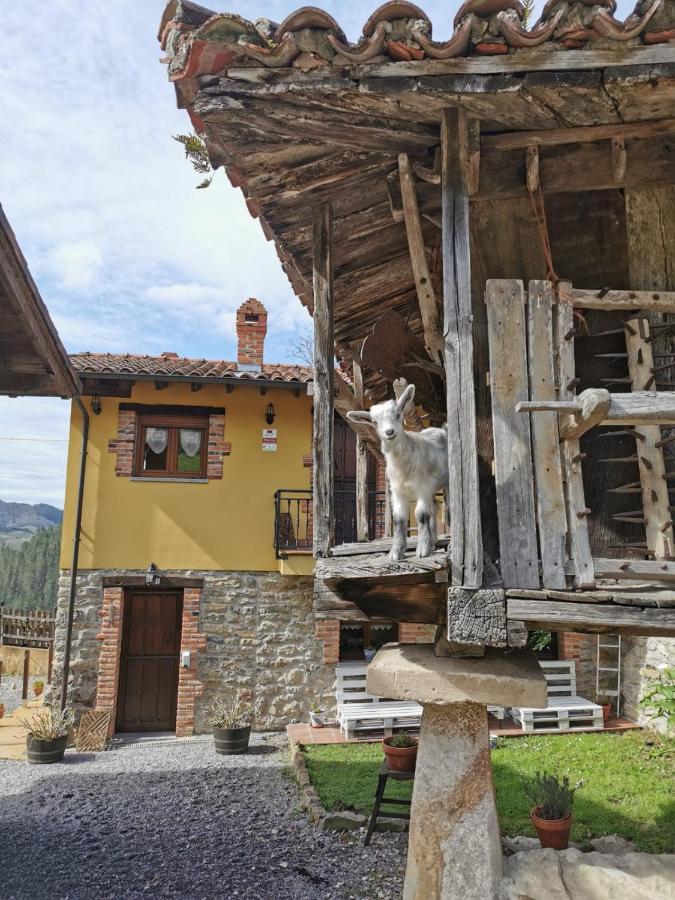 Appartamento Carroceu Rural Onís Esterno foto